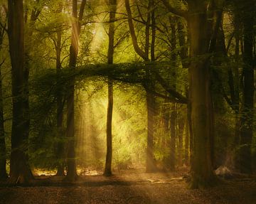 Pure Spirits Of The Forest van Kees van Dongen