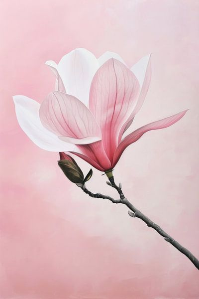 Zarter Magnolienzauber von Poster Art Shop