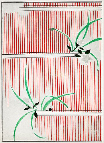 Morning glory illustratie, Watanabe Seitei