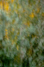 Das Flüstern des Herbstes von SR Blaauw