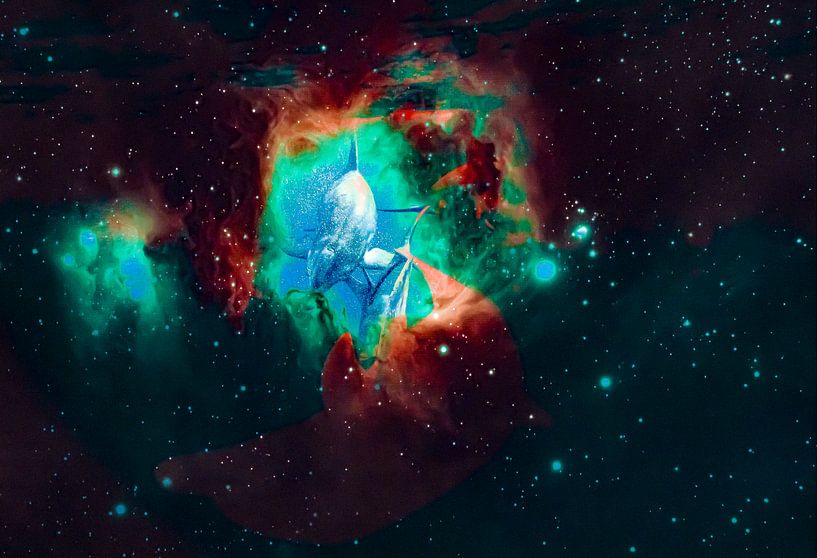 Dolphins in Space by Truckpowerr