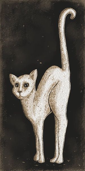 De Witte Kat van Nathalie Antalvari