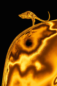 Gouden auto ordament