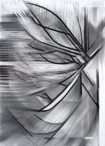 meditations-s003-1__2011 van Hans Zantman