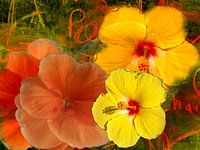 Floral gimmick