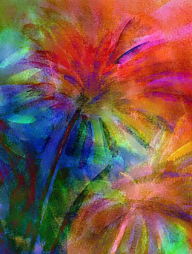 Asters - Kracht