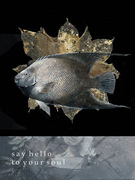 Say Hello To Your Soul