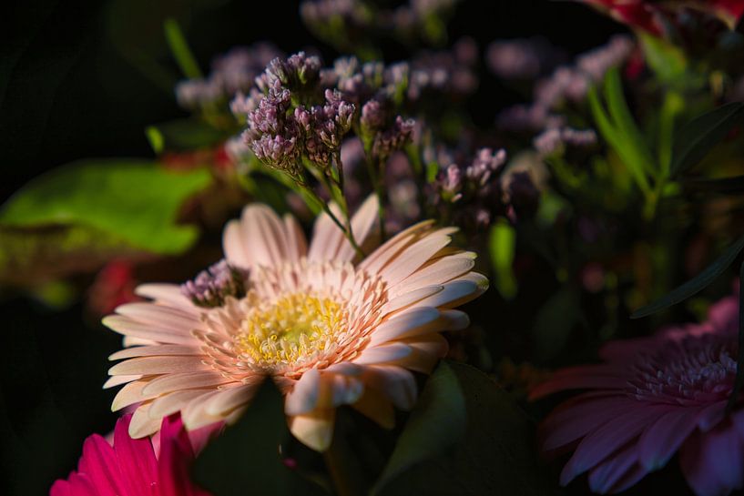 Détail d'un bouquet par Joran Quinten