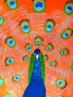 Pfau blau