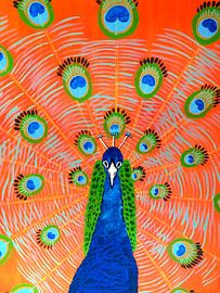 Peacock blue by Teun Poppelaars