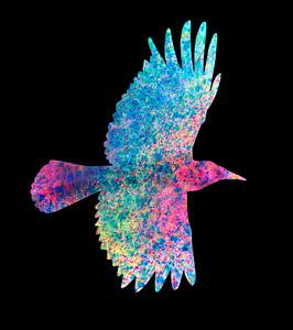 Corbeau coloré