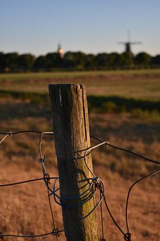 Blick auf die Nachbarn