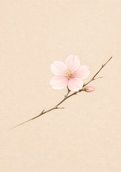 Minimale Kirschblüte