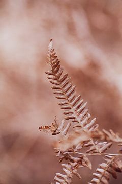 Herfst van Denise Tiggelman