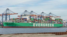The Evergreen container ship EVER ARIA. by Jaap van den Berg