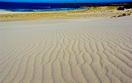 Dune Sand von Christiane Behrmann