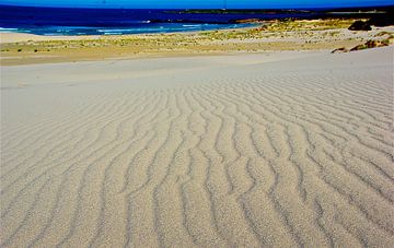 Dune Sand