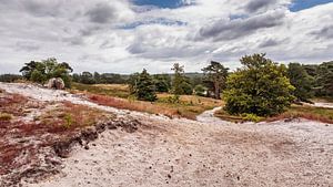 Brunssummerheide von Rob Boon