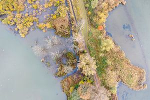 Vue aérienne Parc national De Biesbosch
