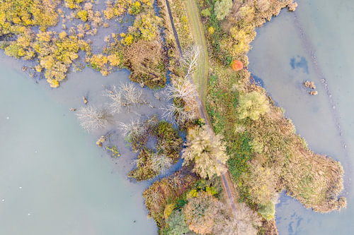 Herfst in de Biesbosch vanuit de lucht