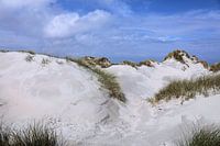 Duinen op het oerd