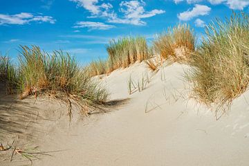 Waddeneiland Texel met zand en duin van eric van der eijk