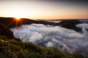 Sommermorgen Saarschleife