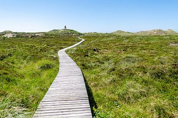Sentier en bois à travers les dunes jusqu'au phare