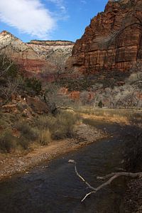 Zion National park entlang des Flusses