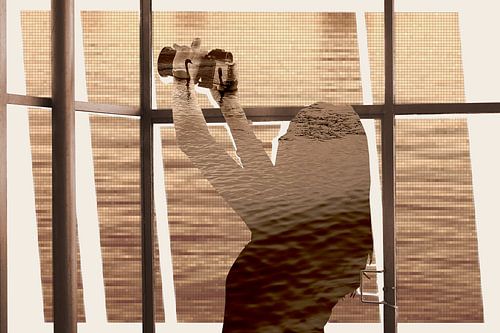 Blue Garden by True Color Stories