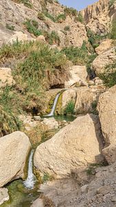 Cascades dans la réserve naturelle d'Ein Gedi, Israël