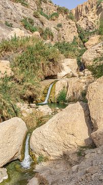 Watervallen in Ein Gedi Nature Reserve, Israël