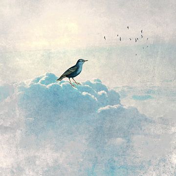 HEAVENLY BIRD I-Q von Pia Schneider