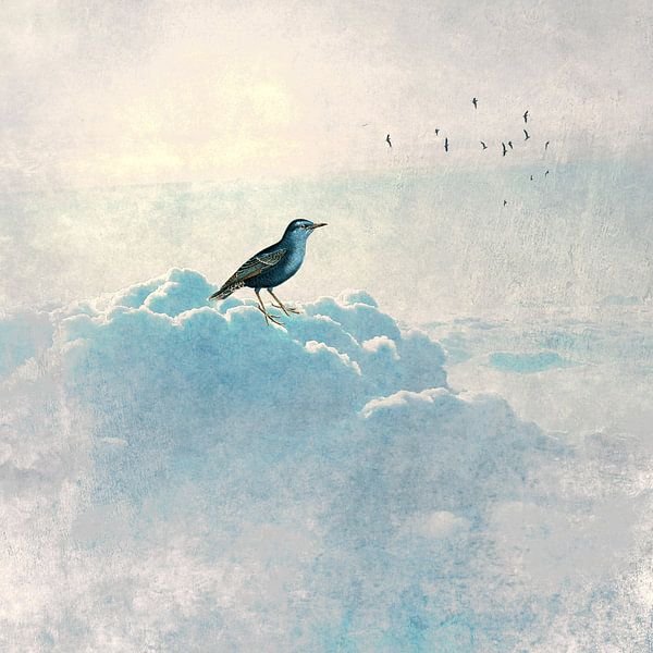 HEAVENLY BIRD I-Q by Pia Schneider