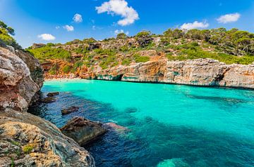 Prachtig strand in een baai op het eiland Mallorca, aan de kust van Calo des Moro van Alex Winter