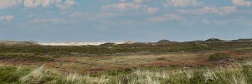 Panorama d'une dune sur Sylt avec ciel bleu et nuages en arrière-plan