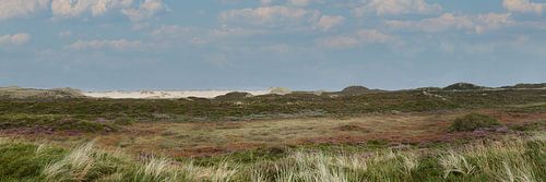 Panorama van een duin op Sylt met blauwe lucht en wolken op de achtergrond