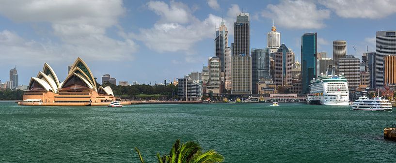 Het Sydney Opera House van Yevgen Belich