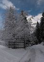 Winterlandschap van Alex Neumayer thumbnail