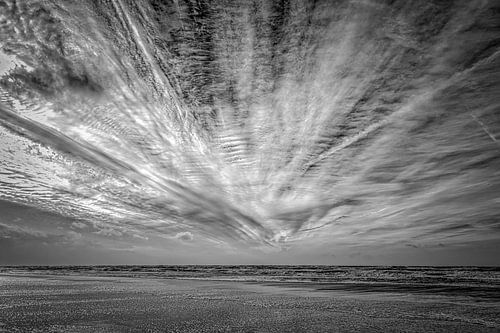 Windfedern über der Nordsee