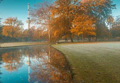 Mist in het Euromastpark van Rotterdam