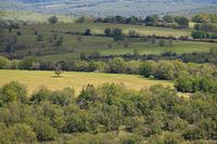 Paysage des Causses du Quercy