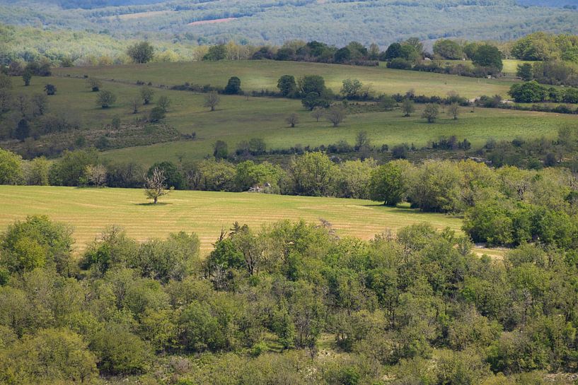 Causses du Quercy landscape by Liesbet den Daas