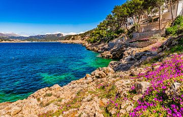 Idyllisch uitzicht op de baai van Port de Andratx, prachtige kust op Mallorca, van Alex Winter