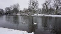 Sneeuwseizoen van fotograaf chaimaa thumbnail