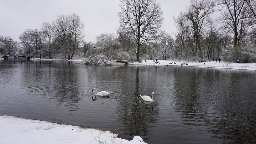 Sneeuwseizoen van fotograaf chaimaa