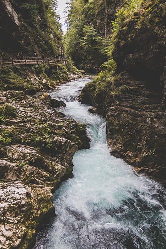 Triglav Nationaal Park, Slovenië