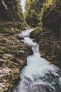 Triglav National Park, Slovenia by Tibo Ceulers thumbnail