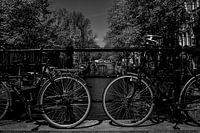 Bruggen en fietsen