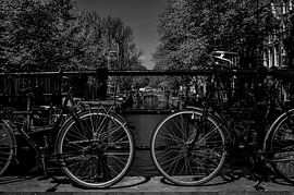 Bruggen en fietsen van Pier Giorgio Tesser